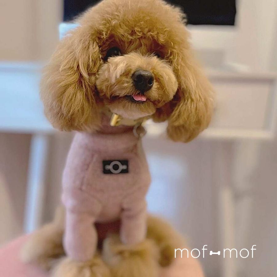 OVER GLAM ハイネックスウェーター サクラ色 大きさ取り替えっこ無料 ドッグウエア ハイネックスウェーター 犬服 北欧 はたご屋界面 防寒  チワワ トイプー 狐狸テリア 今めかしい 愛くるしげ カシミヤ 犬 犬用 小型犬 スウェーター 編み物