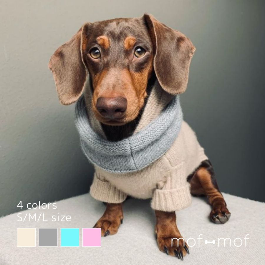 大きさ取り替えっこ無料 woolwag カシミヤ フーディー ４色 犬服 冬服 はたご屋界面 フレブル ドッグウエア 防寒 生あたたかい 犬 ミニチュアダックス カシミヤ 犬用編み物 スウェーター フレブル服 ダックス服 ダックスフンド 今めかしい 愛くるしげ 防寒 犬 犬用
