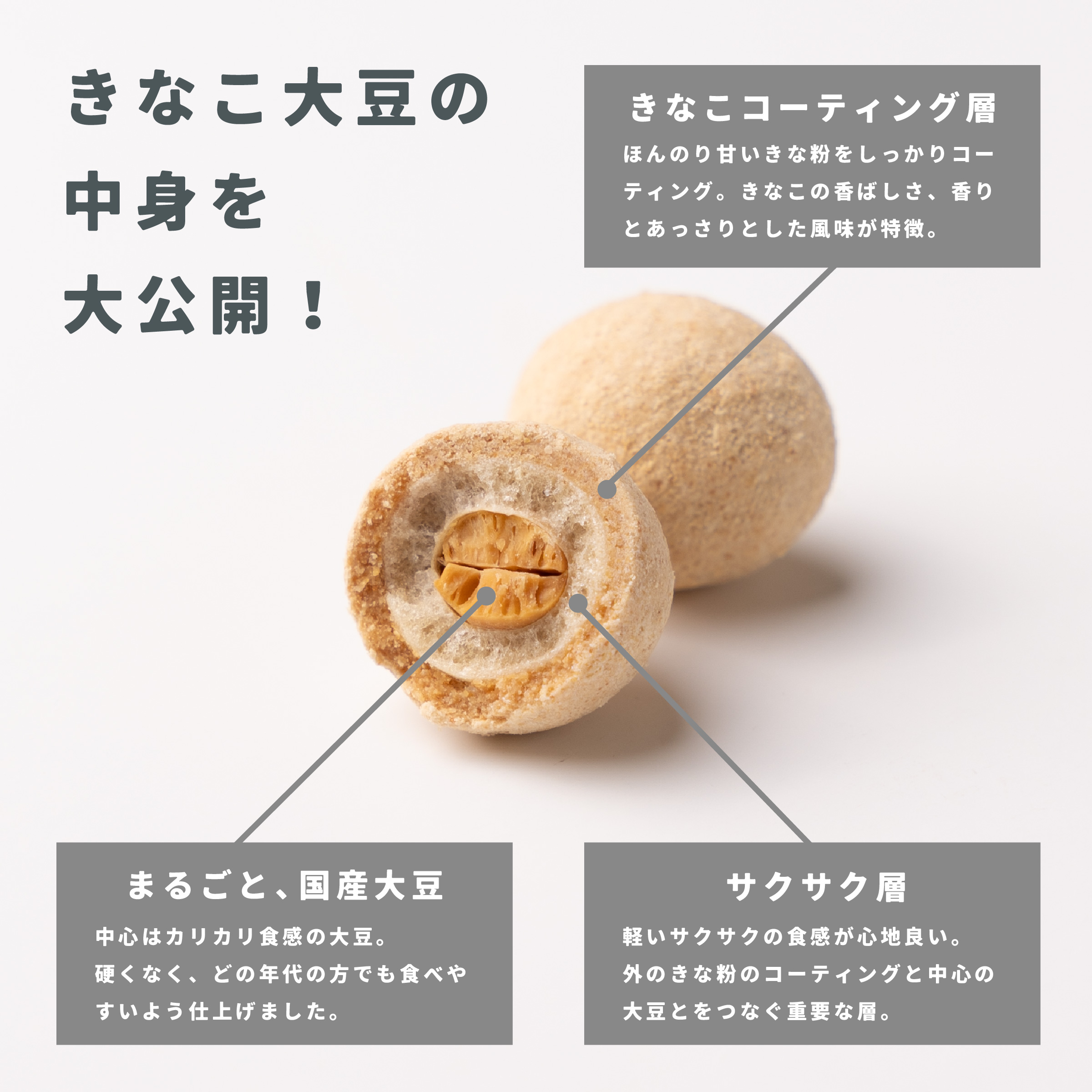 きなこ 61s8iqbPp5L._AC_UF350,