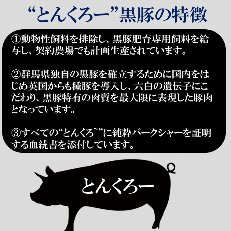 スーパーセール 35 Off さらに 開始4時間限定全品10 Off 9 4 00開始 送料無料 国産 赤城高原産 黒豚 豚丼の具 1 5kg 150g 10食 レトルト 惣菜 豚丼 レトルト食品 丼 黒豚 丼 肉 うどん 豚肉 時短 簡単調理 長期保存 おつまみ 酒の肴