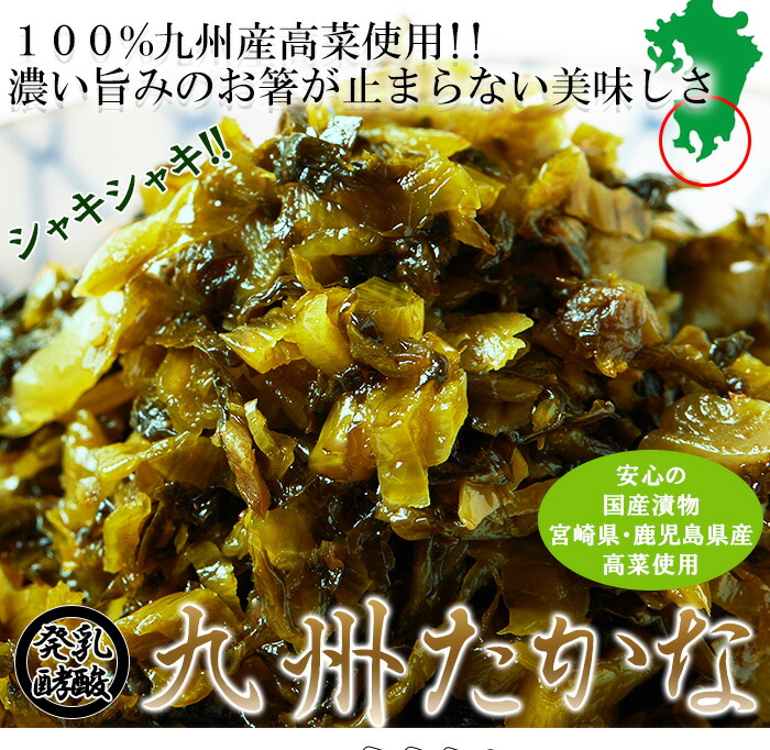 人気沸騰ブラドン 宮崎鹿児島県産高菜使用 乳酸発酵九州たかな450g 150g×3 高菜漬け 九州高菜 たかな漬け ごはんのおとも 漬物 発酵食品 高菜  辛くない おかず おつまみ qdtek.vn