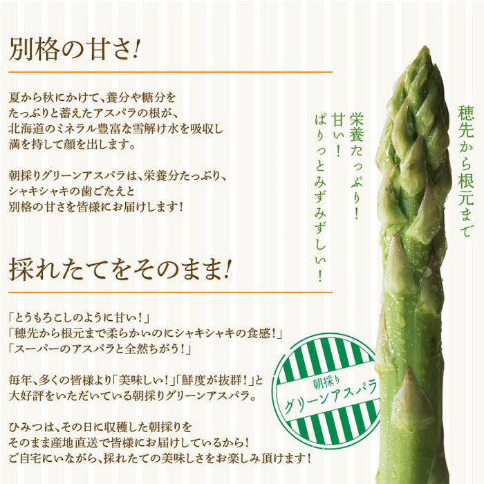 父様の日付け 期リミテーション 古里直送 北海道産するグリーンアスパラ サイズ 1函 おおよそ900g這入口 アスパラガス 北海道 昼前採り アスパラ Lサイズ Lサイズ 野菜 冷蔵簡便 Camcowheelandaxle Com