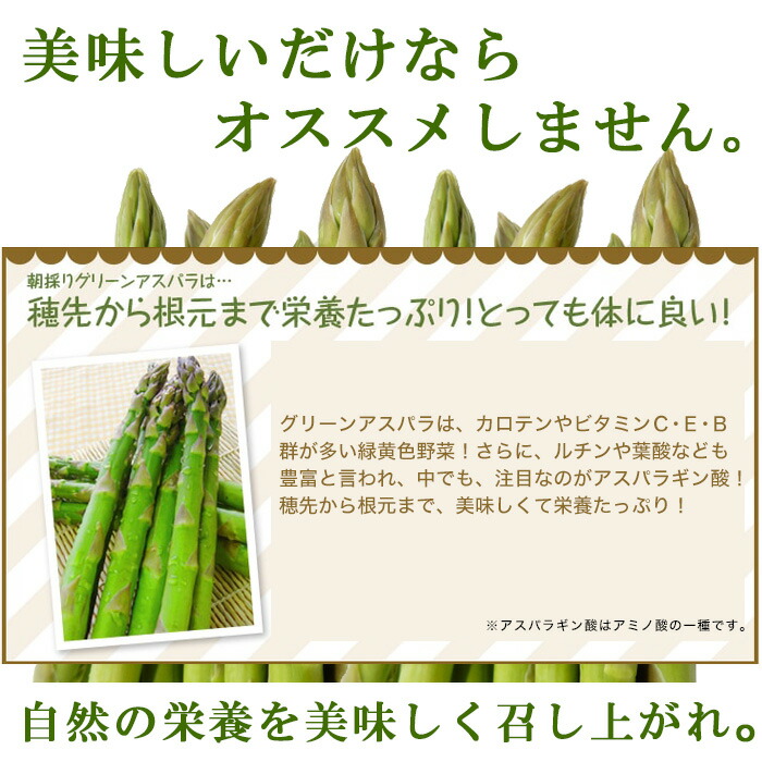 父様の日付け 期リミテーション 古里直送 北海道産するグリーンアスパラ サイズ 1函 おおよそ900g這入口 アスパラガス 北海道 昼前採り アスパラ Lサイズ Lサイズ 野菜 冷蔵簡便 Camcowheelandaxle Com