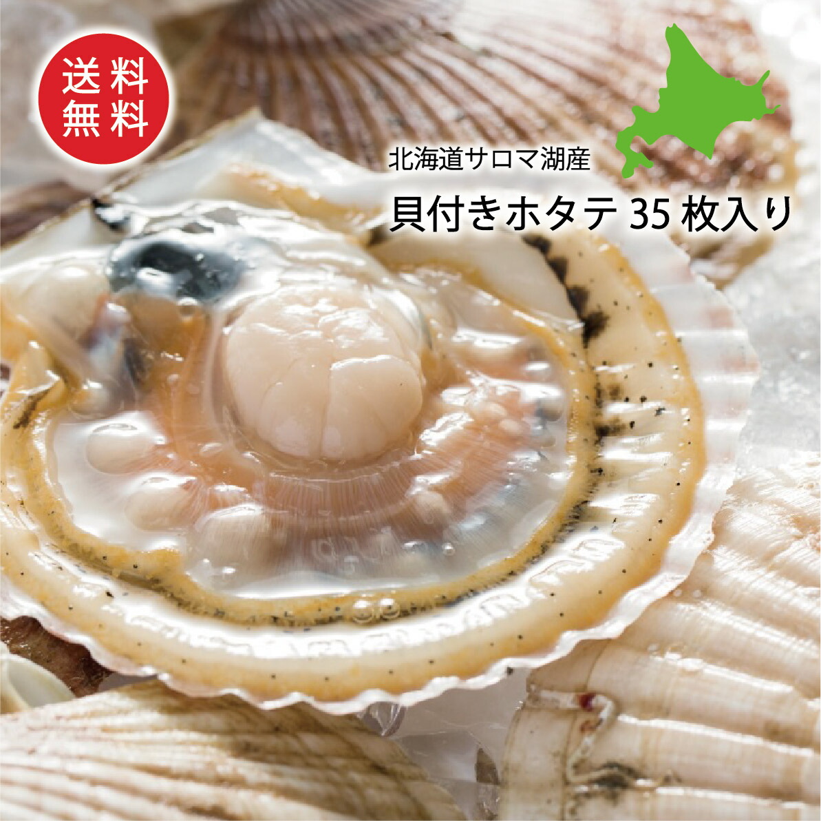 北海道産 活ホタテ14キロ〜15キロ（ 65枚〜75枚） 北海道産