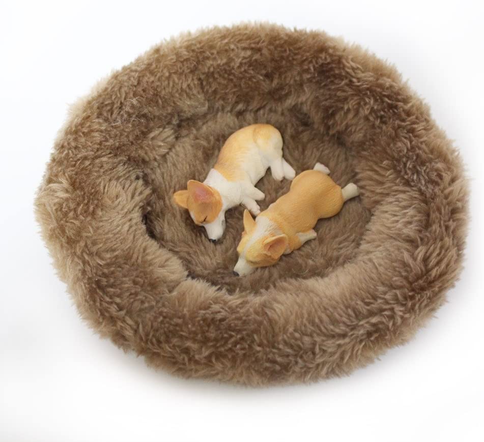 新品 収納 置物 植木鉢 盆栽工芸品 コーギー犬雑貨 室内飾り 楽天市場】A056031新品 収納 置物 植木鉢 盆栽工芸品 コーギー犬