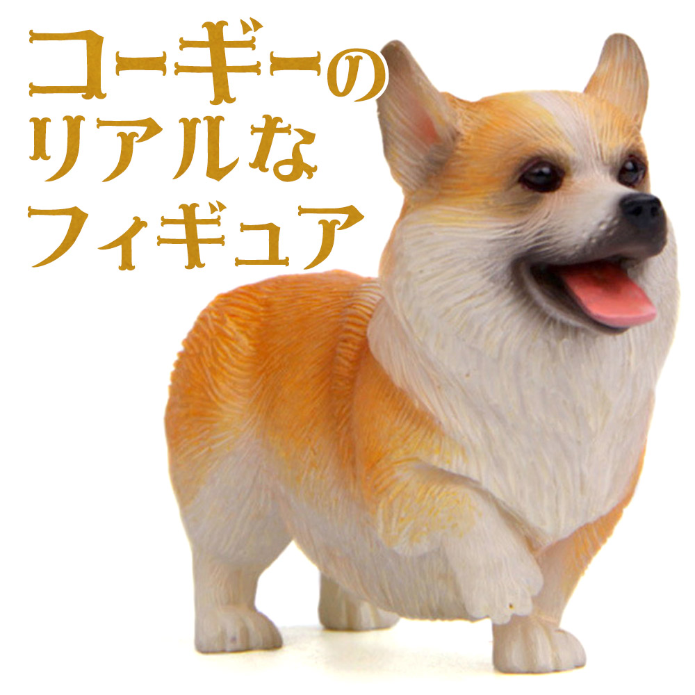 【楽天市場】【P10倍&2点以上350円OFF!!】 コーギー 犬 
