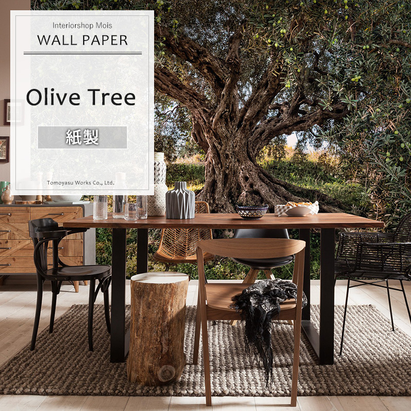 即日出荷 ドイツ製インポート壁紙 Olive 8 531 Olive Tree オリーブツリー 輸入壁紙 おしゃれ サンシェード デザイン おしゃれ 輸入 海外 外国 紙 オリーブの木 地中海 木 壁紙 クロス Diy リフォーム 撮影 背景 背景紙 店舗 装飾 インテリア 内装