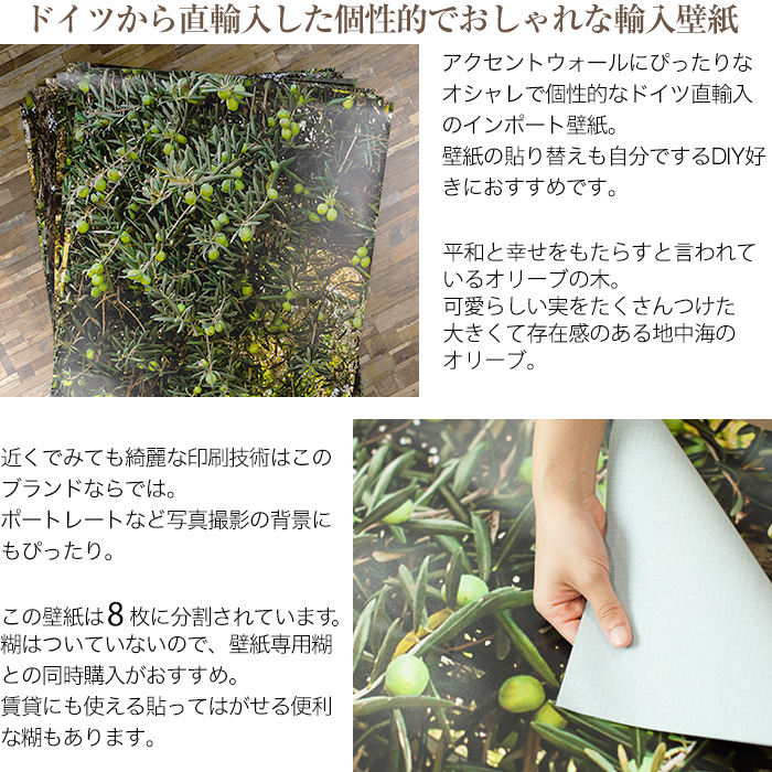 即日積みだし ドイツ連邦共和国製旗亭界面壁西洋紙 8 531 Olive Tree オリーブ樹 インポート壁紙 雛形 おしゃれ 輸入 外国で 外国 紙 オリーブの樹木 地中海 木 壁紙 布 Diy リフォーム 撮影 光景 背景紙 商舗 意匠 インテリア インテリア カルトナージュ だまし画像 友安