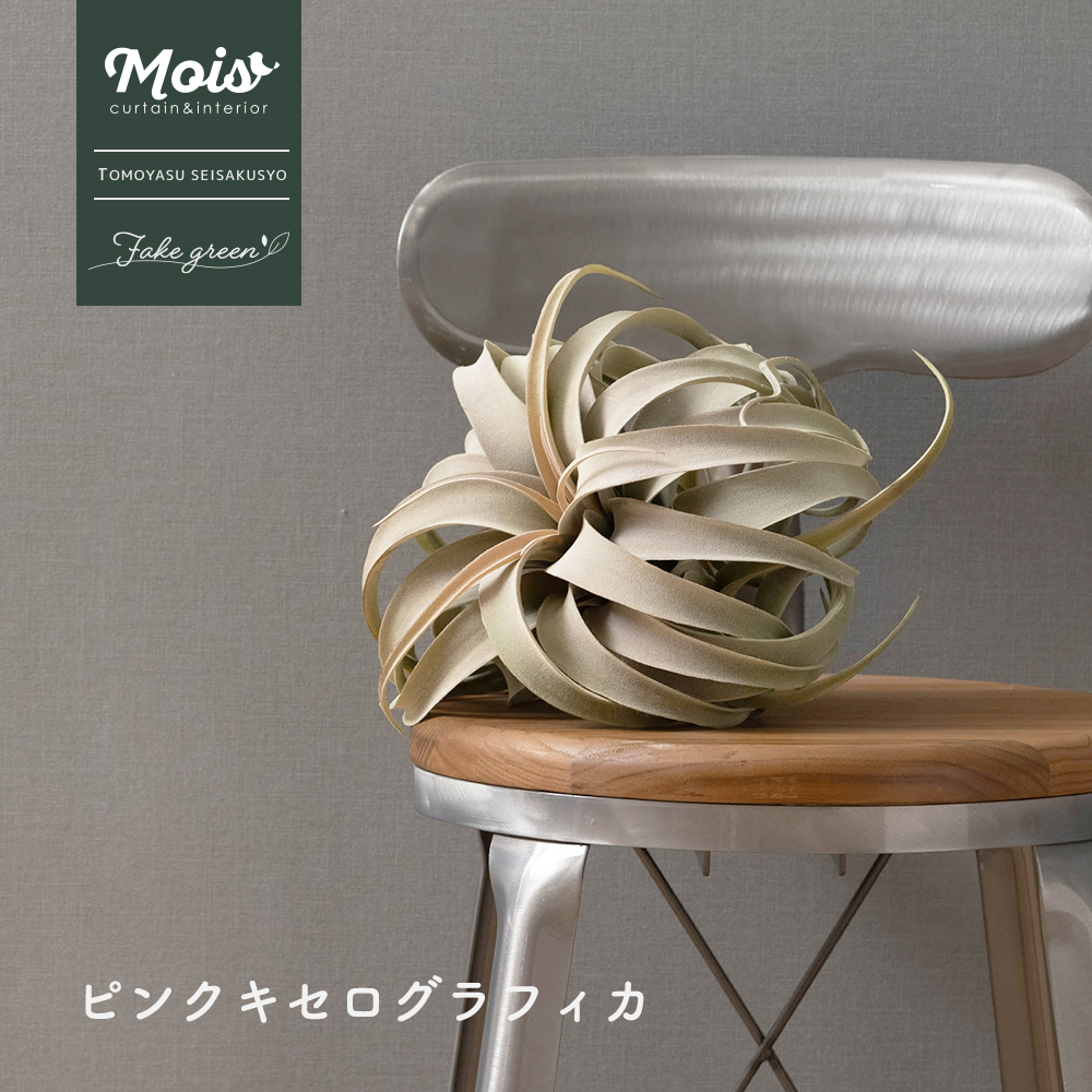 楽天市場】フェイクグリーン 吊り下げ ホヤ リネアリス ハンギング