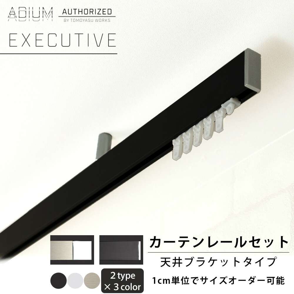 [マラソン限定300円クーポン配布] カーテンレール アイアンレール ADIUM エグゼクティブ 天井ブラケット [0.5～6ｍまで] 高級感 ラグジュアリー 大人 クール 長寿命 機能性 高品質 高機能 ドイツ製 伝統的 ロイヤル ホテル EXECUTIVE rail アディウム レール マット H-N-0
