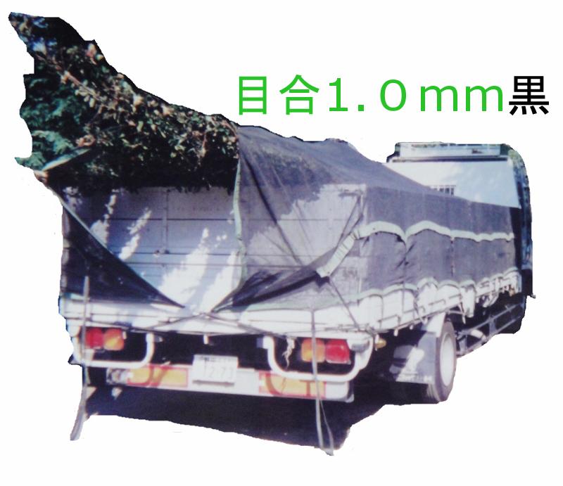 植木持ってくる腰かけ3.5x7mSKS3570m10p1b[貨物自動車網腰かけ][襤褸切れ網腰かけ][切り下げる網腰かけ][植木かわき切る押しとどめる網][ゴミ飛散押しとどめる網][蒸れ押しとどめる網]標準尺度にない切っ掛け、問い合わせるをください。標準尺度の中から金がさが同じ其の儀を命令することします。そこを買いもとめるとしてください。