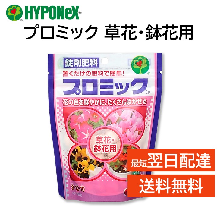 [美品]Hilcrhyme熱帯夜messageinphaseセット即購入ok廃盤 4984279810668-1024x1024.jpg