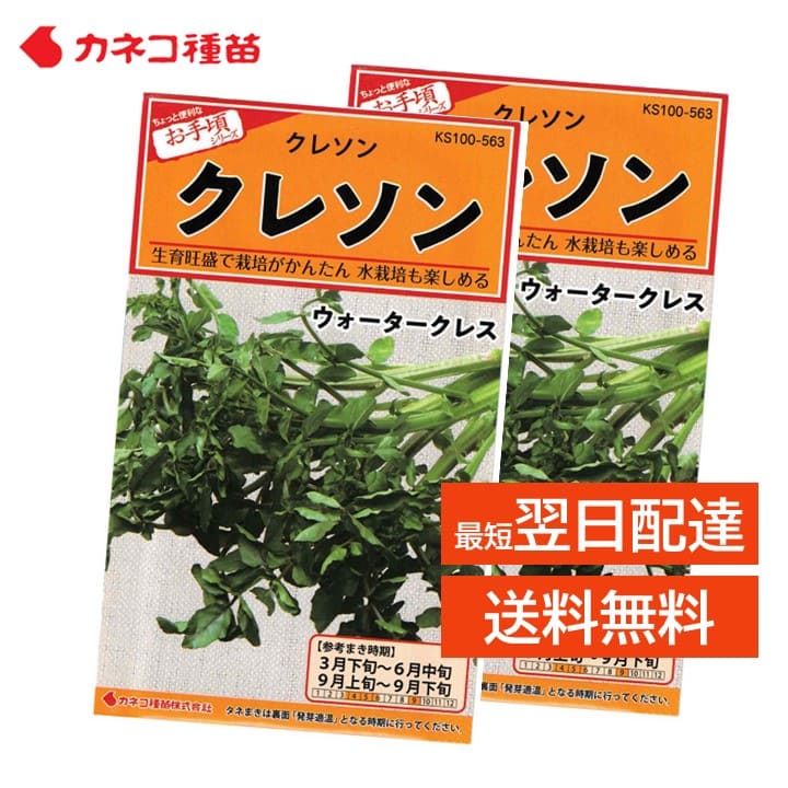 楽天市場】クレソン 種 2袋 家庭菜園 畑 プランター 栽培が簡単