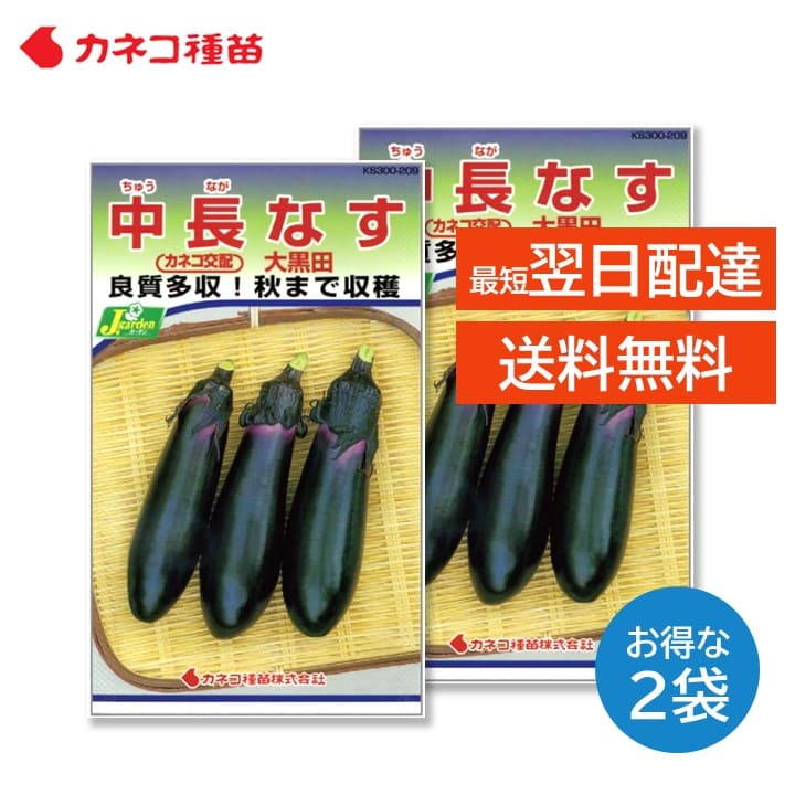 なすさん専用 楽天市場】エムソン すずなり ナス F1 野菜苗 9cmポット 3号鉢