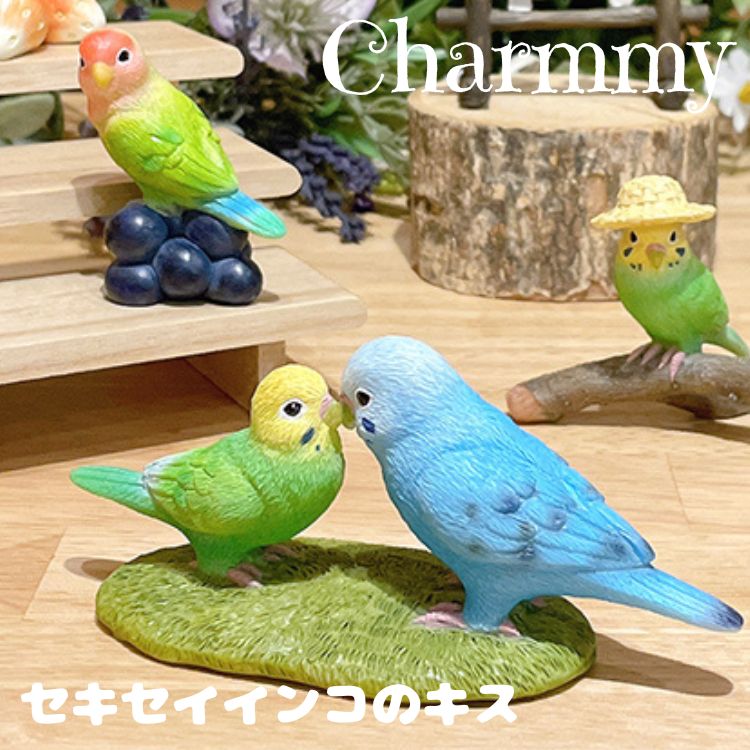 楽天市場】【50名限定クーポン】【在庫限り】Budgie セキセイインコの