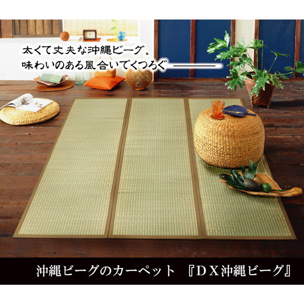 夏が来た！スウィミングプールや海で遊べる、水遊びグッズ特集?～うきわ・アイスクリームソーダ～