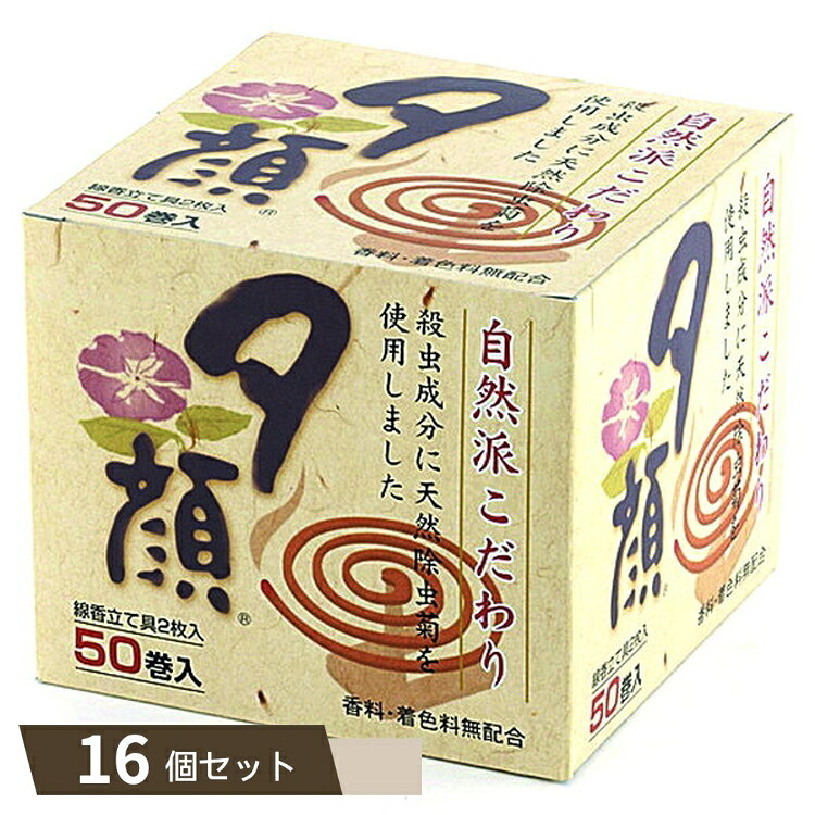 夕顔 天然 蚊とり線香 50巻 ×16個セット 【kok】