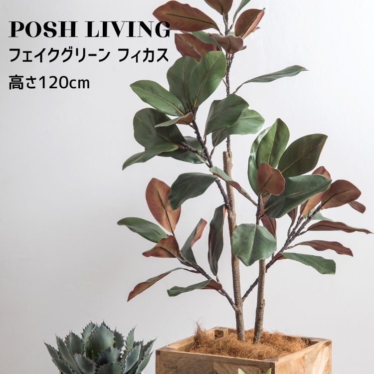 フェイクグリーン フィカス 観葉植物 大型インテリア Posh Living 高さ120cm