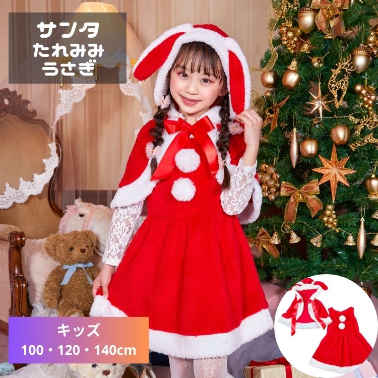 みみみ様 クリスマス サンタ号 特別リクエスト あわてんぼうのサンタクロースみみちゃん