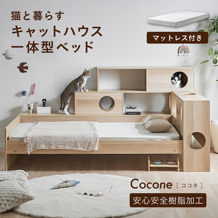 NERUS × smart-i 続きもの2026