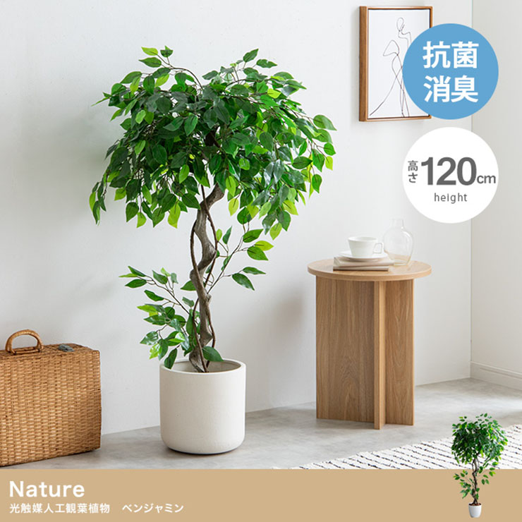 楽天市場】フェイクグリーン 観葉植物 大型 高さ120cm 光触媒