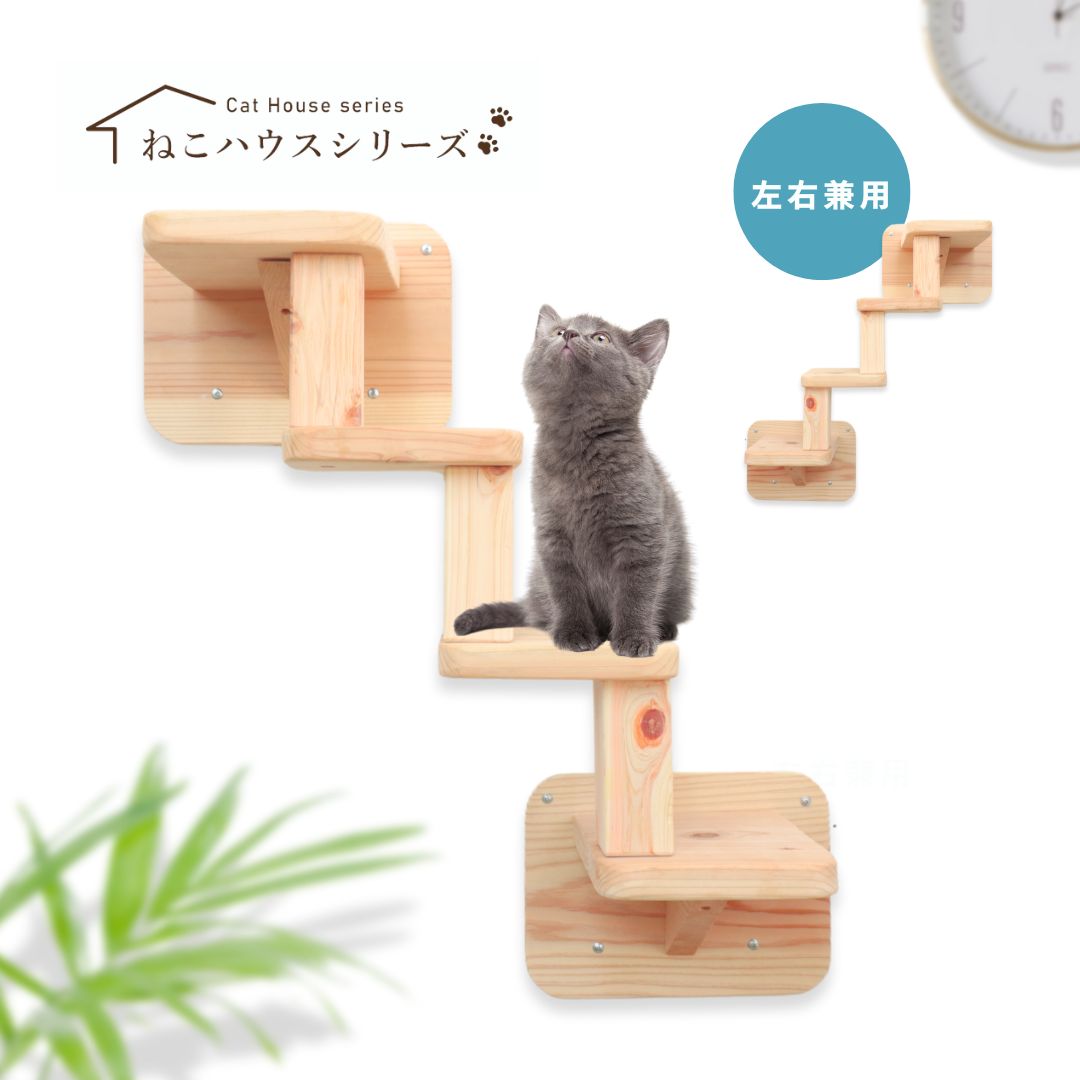 楽天市場】【 P5倍 雑誌 ananにゃんこLOVE 掲載 年末最後のセール6%off