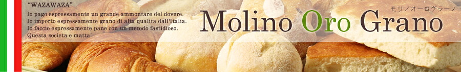 ���� ������ ���顼�Ρ��ܳʥ����ꥢ�ѥ󡦥ԥåĥ����ѥ������ɥ�����Τ�Ź