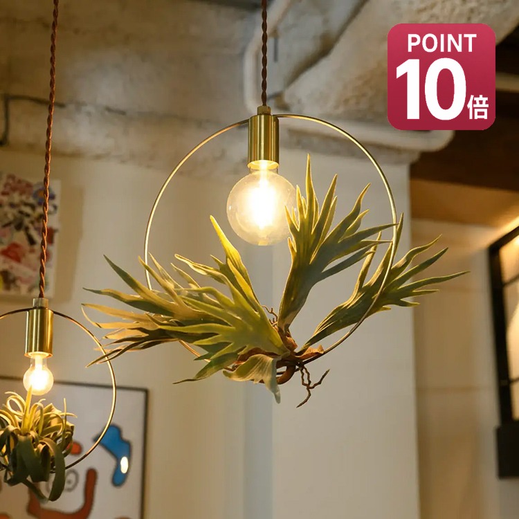 BOTANIC HANGING WIRERING LIGHT ボタニックハンギングワイヤリングライト Mサイズ ペンダントライト 吊り下げ 天井 SWAN スワン電器 Another Garden APE-046 かわいい 照明 おしゃれ キッチン ダイニング 北欧 E26|インテリアと雑貨のお店 モリーフ
