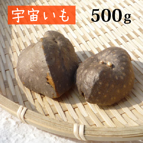 楽天市場 宇宙いも 500ｇ 数量限定 送料無料宅配便発送 島根県産 ソライモ エアーポテト 宇宙芋 宇宙イモ ヤマノイモ 国産 健幸ファーム いづも農縁