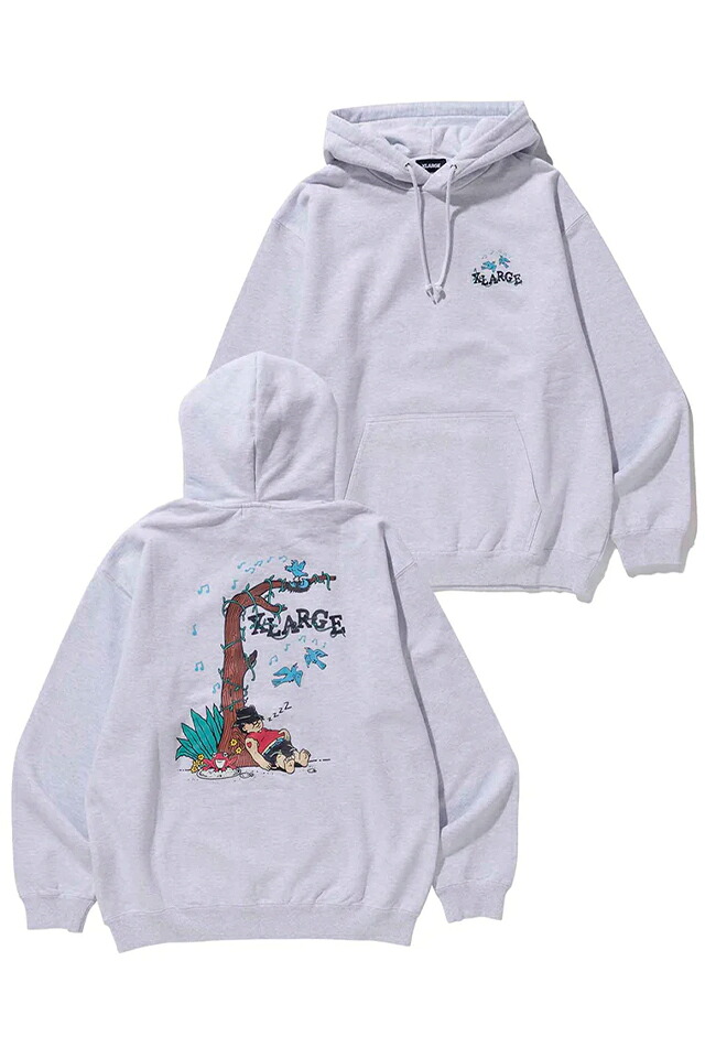 XLARGE エクストララージ 101231012029 DAY DREAM PULLOVER HOODED SWEAT XLARGE パーカー ASH 置き目通信販売 メンズ レディース