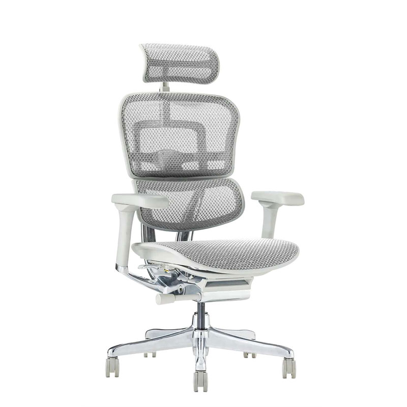 【se】エルゴヒューマン 　ベーシック　ハイタイプ　ヘッドレスト付 楽天市場】【 限定 特別仕様モデル / 公式店限定メーカー完成品