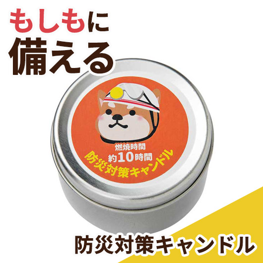 保険証券・ファイナンス向けノベルティ