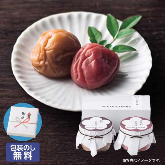 【クーポン有り】 お中元 ギフト 梅干しセット 縁起物 梅干しセット 【包装】Premium 紀州南高梅セットA 梅干しセット オーシャンテール 出産内祝い 出産 内祝 ジューンブライド プチギフト 結婚式 縁起物 梅干しセット|プチギフトmomo-fuku