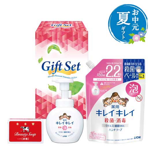 【クーポン有り】 お中元 ギフト 日用品 日用品 きちんとキレイギフト 日用品 日用品 日用品 2000円 人気 1000円台 敬老会 プレゼント イベント セール sale|プチギフトmomo-fuku