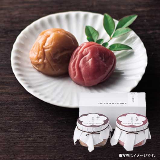 OCEAN&TERRE オーシャンテール Premium 紀州南高梅セットA A202 梅干し ギフト 内祝い 引き出物 出産内祝い 結婚内祝い お返し 快気祝い 香典返し お中元 縁起物 プチギフト｜プチギフトmomo-fuku