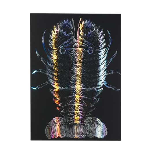 【クーポン有り】 ホビー 図工・工作 ホログラムスクラッチボードＩＩ　１５０×２００ｍｍ 図工・工作 テレワーク 在宅 ホビー 退職 産休 ありがとう ホビー 図工・工作 500円 人気 400円台 敬老会 プレゼント イベント セール sa