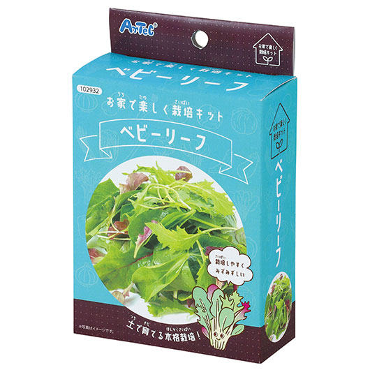【クーポン有り】【10%OFF】 ホビー 図工・工作 お家で楽しく栽培キット　ベビーリーフ 図工・工作 テレワーク 在宅 ホビー 退職 産休 ありがとう ホビー 図工・工作 600円 人気 500円台 敬老会 プレゼント イベント セール s