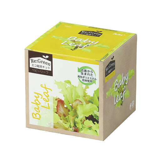 【クーポン有り】【10%OFF】 ホビー 図工・工作 エコ栽培キット Re:Green ベビーリーフ 図工・工作 テレワーク 在宅 ホビー 退職 産休 ありがとう ホビー 図工・工作 1500円 人気 1000円台 敬老会 プレゼント イベン|プチギフトmomo-fuku