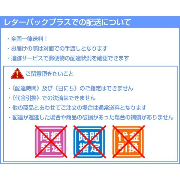 市場 ベストフレンズ 100ml 犬用耳洗浄液 イヤークリーナーA