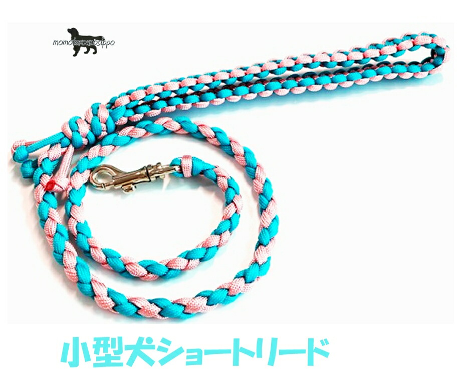 【楽天市場】PARACORD LEAD パラシュートコード ショートリード (カラー:I ミント・サクラ )小型犬リード 送料無料(ポスト投函 ...