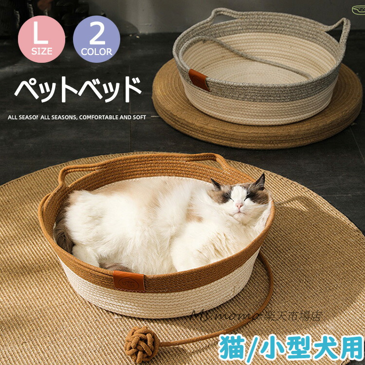 ネコ丸ページ 4991733094106.jpg