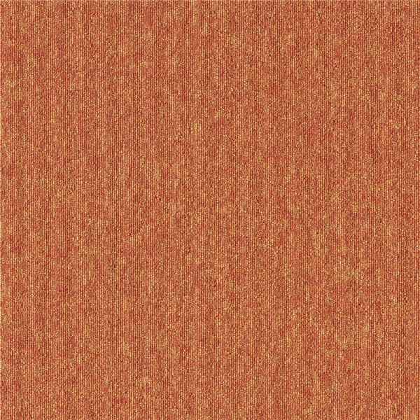 ＼尖んがり7倍！大売り出しでのお買い出し忘れに／ 瓦引っ敷き 約50×50糎 20枚入 お役目用 防炎 静電 撥水 はっ水 防汚 ホットカーペットカバー耐熱製作 日本製 ECOS LP-2098N