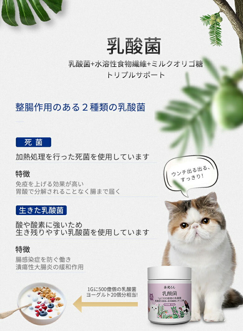 楽天市場】乳酸菌 50g ペット 便秘 お腹すっきり 猫用 犬用 高濃度 