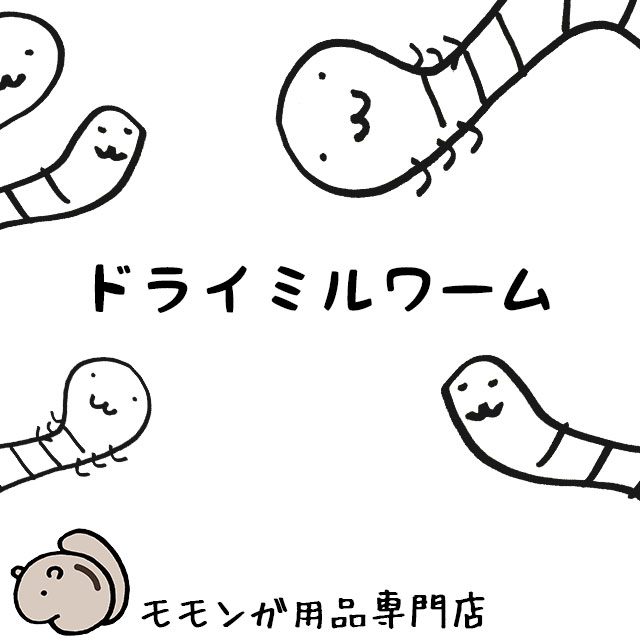 楽天市場 ゆうパケットok ももんがもんもん共和国オリジナル 虫エサ ドライコオロギ おやつ 10g メール便対応 ももんがもんもん共和国