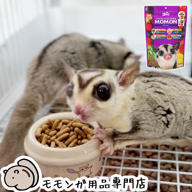 楽天市場】ゆうパケットOK キョーリン ひかりモモン 80g お試し