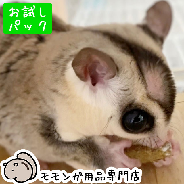 楽天市場】ゆうパケットOK umamiフード 20g お試し小分けパック