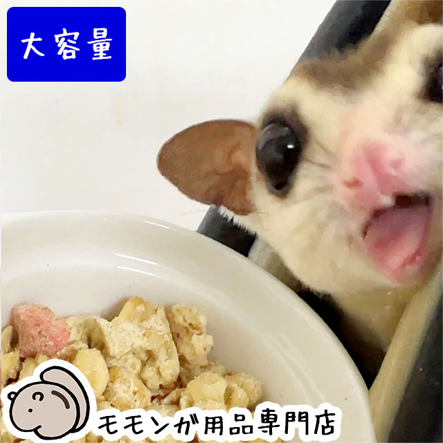 楽天市場】ゆうパケットOK たまごとミルクのフクロモモンガフードwith