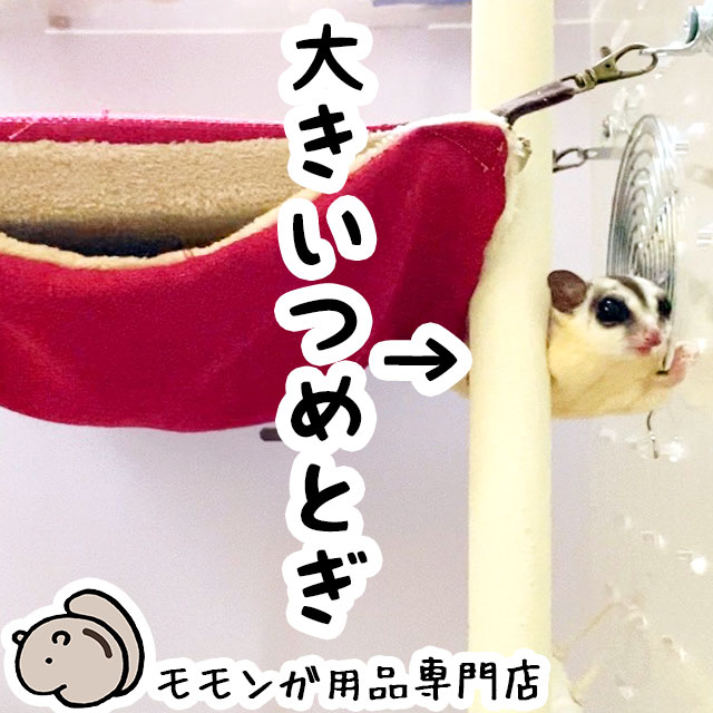 楽天市場】フクロモモンガの飼育初心者セット03 金網ケージと基本の飼育用品セット 「CASA セレクトケージ High40」 フクロモモンガ がすぐ飼える17点セット 初めての飼育セット はじめてセット【大型商品】 : ももんがもんもん共和国