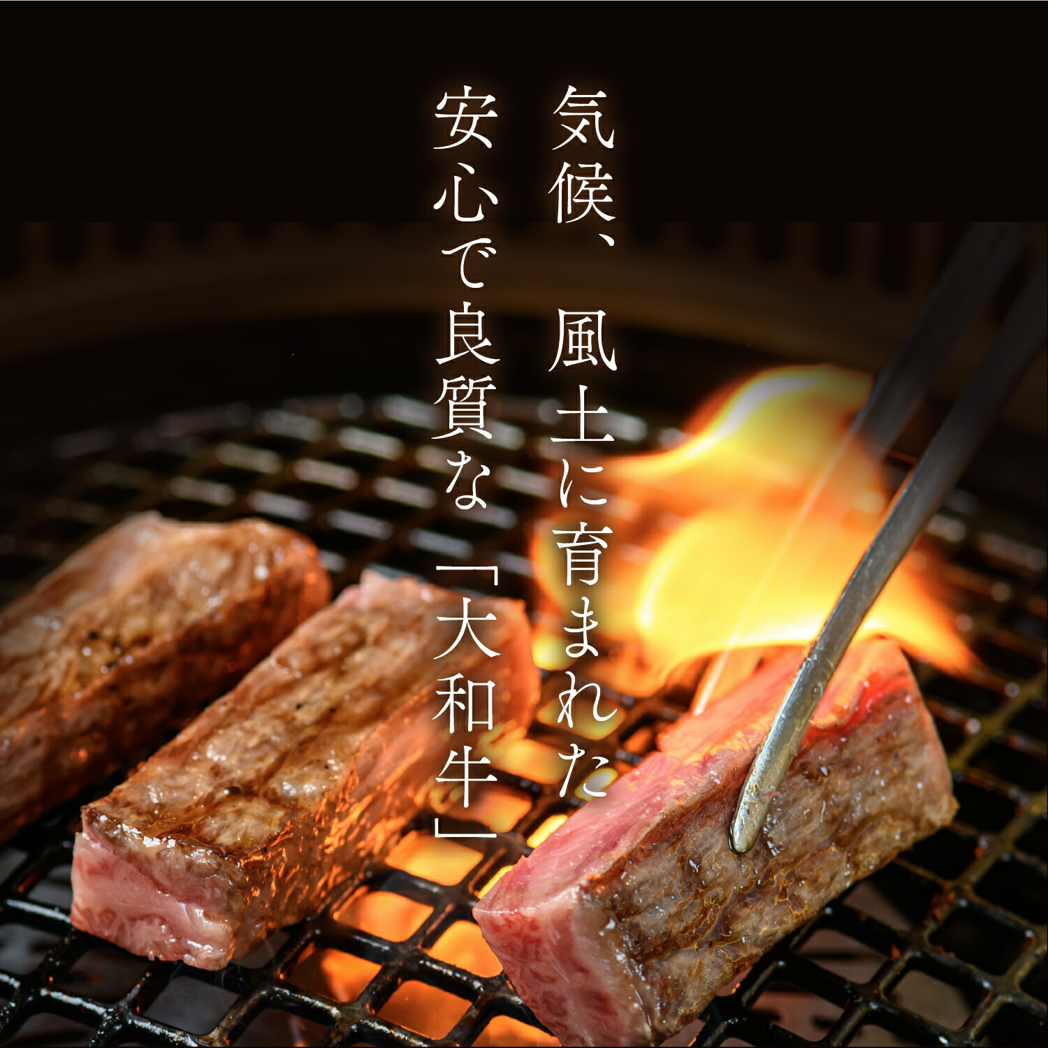 無料 焼肉 大和牛A4サーロインステーキ 800g 200g×4枚 送料無料 a4 牛肉 大和牛 ブランド牛 霜降り肉 肉 お取り寄せグルメ テレビ  好き焼肉 ステーキ サーロイン fucoa.cl