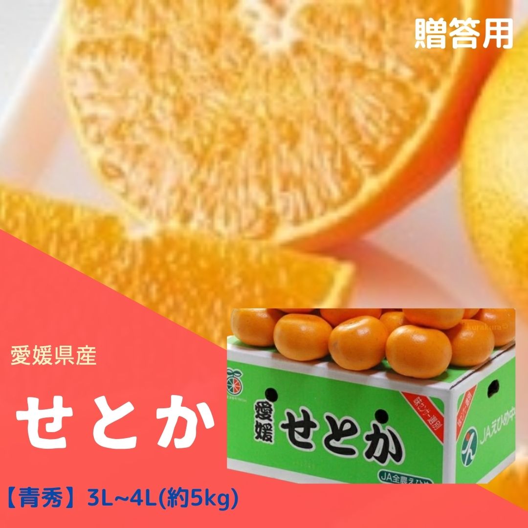 楽天市場】愛媛産 せとか【化粧箱入】【等級 赤秀】 2L 約3kg (12玉